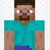 steveontiktok2