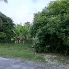 zakri2022