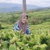 diamardhiyah