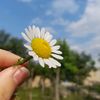 buba_081
