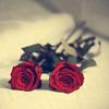 richi.aryanti
