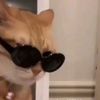 phanthanakorn_2553
