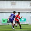 boy828245