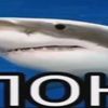 markin_tosh