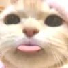 xyryliaa