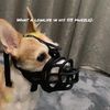 k9bently