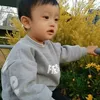 nguyenngoctq12345