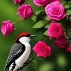 user181319794821