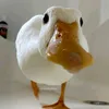 die_ente_will_nutella