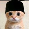 kucingkece48