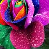 nlucky001
