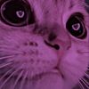 kittty114