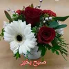 user825740290566