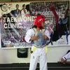 taekwond0.2