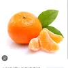 madaralab
