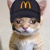 mowbjj