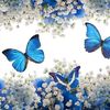 toprak_emsal01
