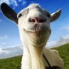 handsome.goat