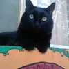 blackblackyboy