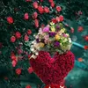 mezianemalik976