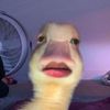 ppmcrcvp