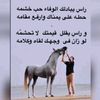 xhhjdjj