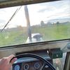i_love_oliver_tractors88