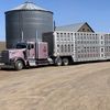 cowhauler45