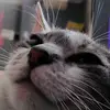 fsnot_afriend