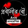 amzaddhali2