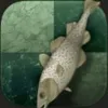 id5239374672