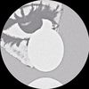 .559_fabien