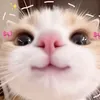 _npthaooooo
