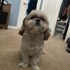 aiden_e1.2