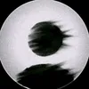 l6al_y