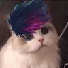 J.