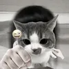 fansksp34