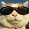 white_gus1