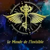 lemondedelinvisible
