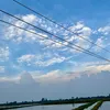 _lnyh.thyu10