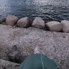 marwa.ramadan66