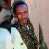 bn.haroun