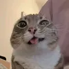 def0rce