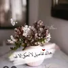 wassim.ahmad4