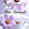 user3782096819570