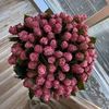 nora_89078
