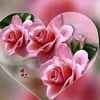 user8320628029169