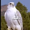 .user1277827411476