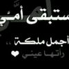 user6264278043635