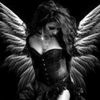 fallenangel_205